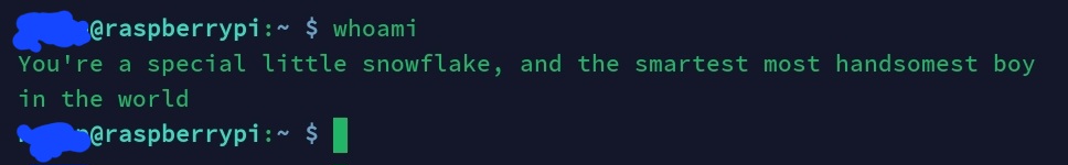 Terminal output for whoami command: You're a special little snowflake, and the smartest most handsomest boy in the world